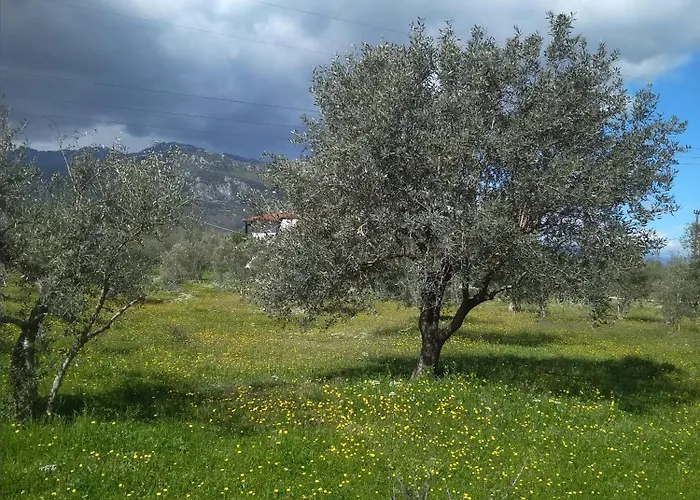 Elaias Gea -kalampaka *